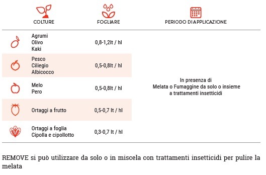 remove-contro-fumate-melaggini